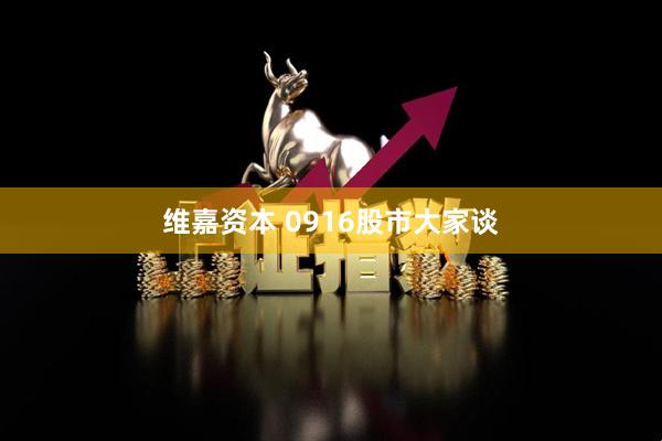 维嘉资本 0916股市大家谈