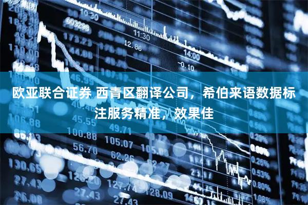 欧亚联合证券 西青区翻译公司，希伯来语数据标注服务精准，效果佳